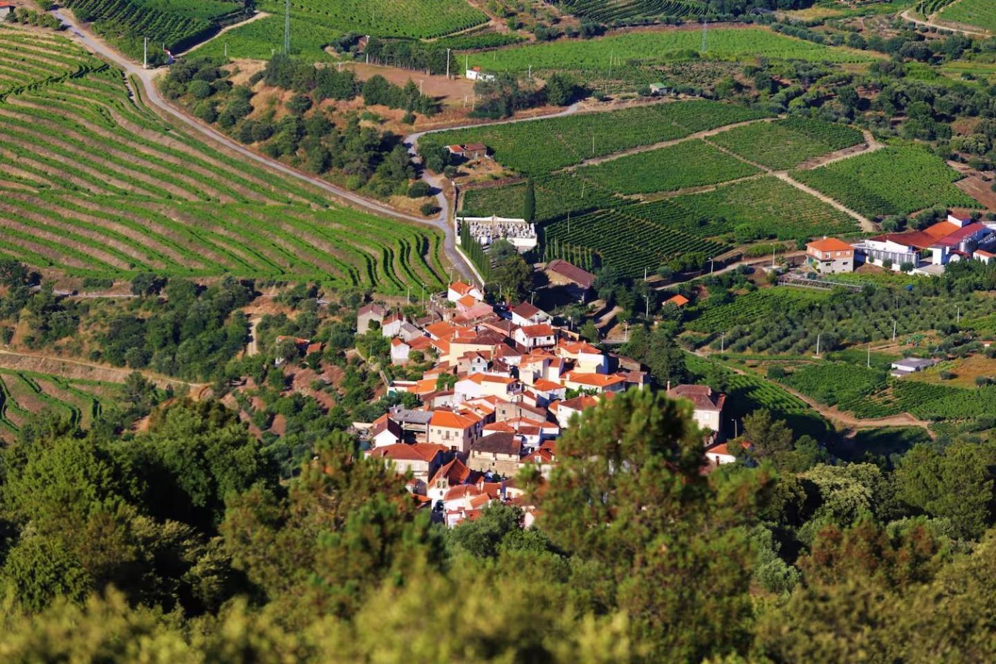 Babhouse Casa Das Abelhas - Coracao Do Douro São João da Pesqueira Exterior foto